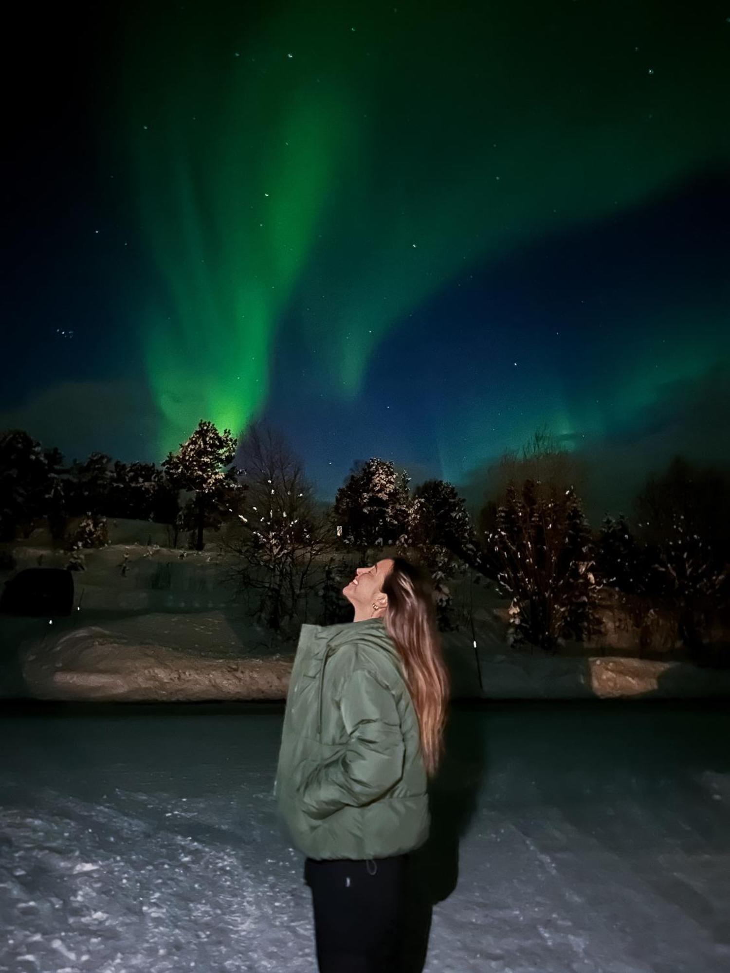Norwegian Wild Villa Brygghaugen Ngoại thất bức ảnh